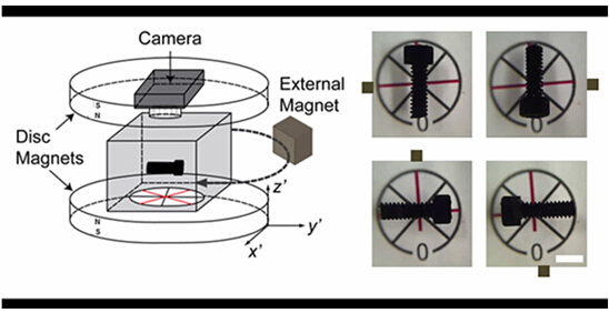 Magnetic attraction